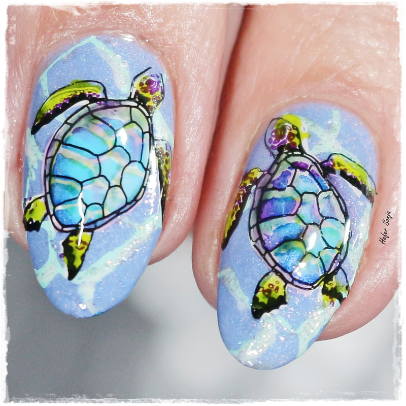 Turtle Nails: Care, Trimming, and Potential Issues 🐢